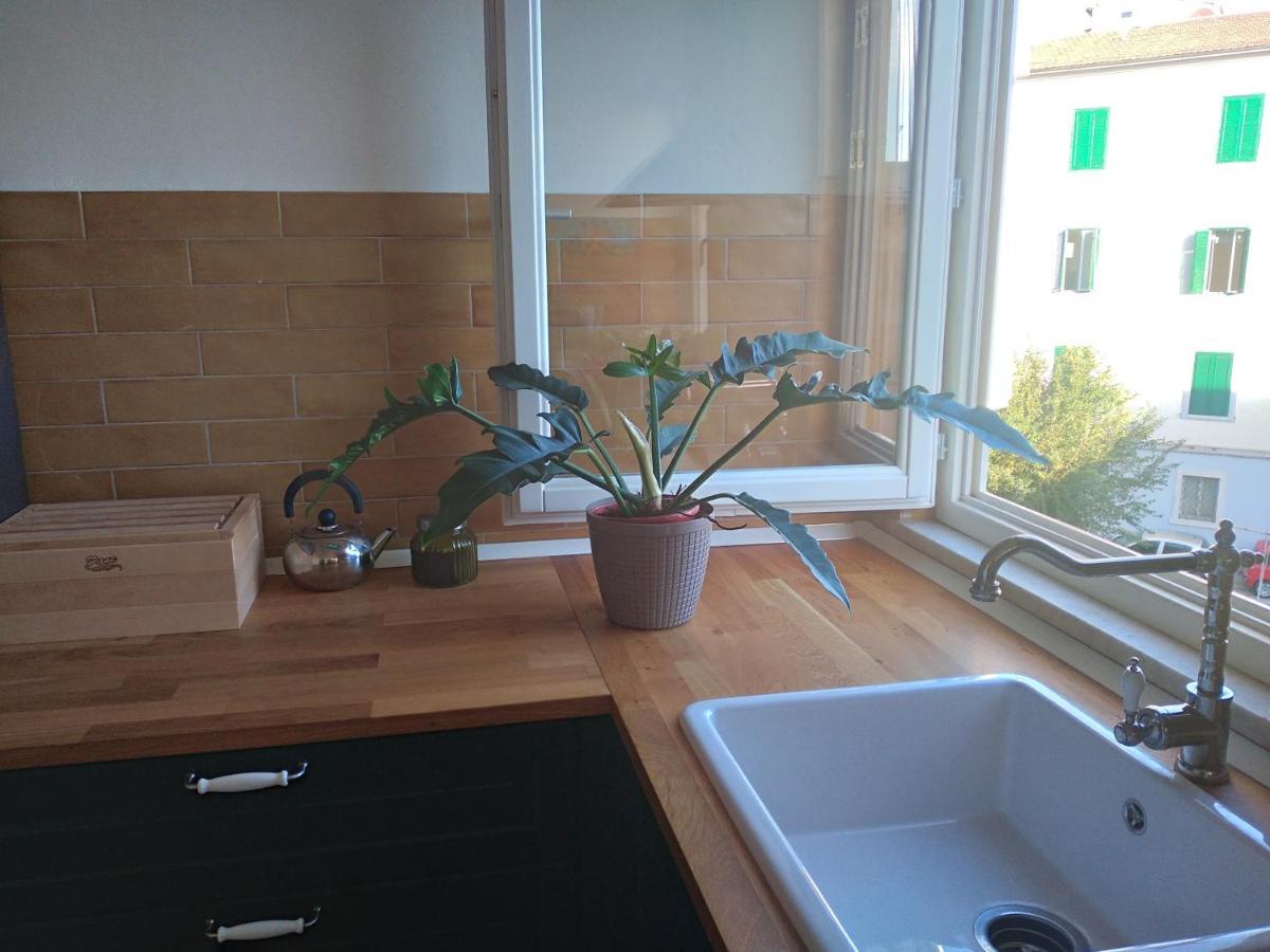Lotte'S Guesthouse Livorno Zewnętrze zdjęcie